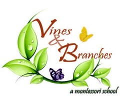 VINES AND BRANCHES MONTESSORI SCHOOL
